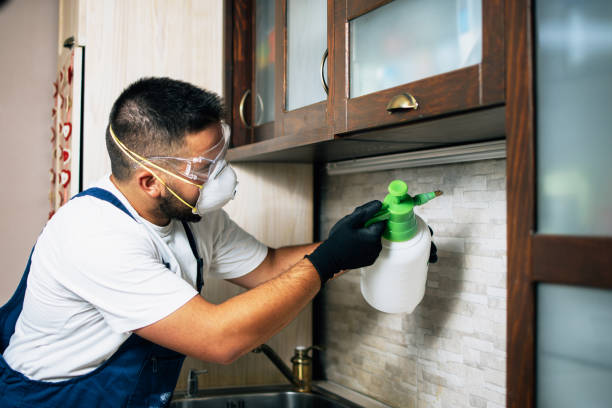 Best Residential Pest Control  in Sunset Beach, NC