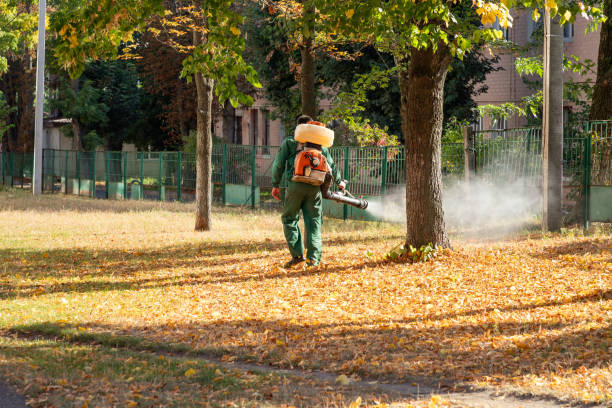 Professional Pest Control in Sunset Beach, NC