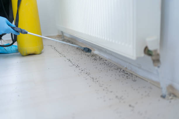 Best Pest Prevention Services  in Sunset Beach, NC